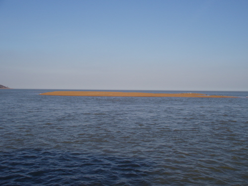 the crossing