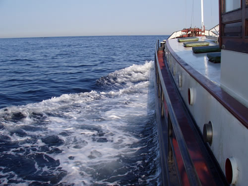 the crossing